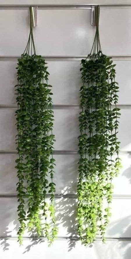 پخش مانی(صالح اباد)
