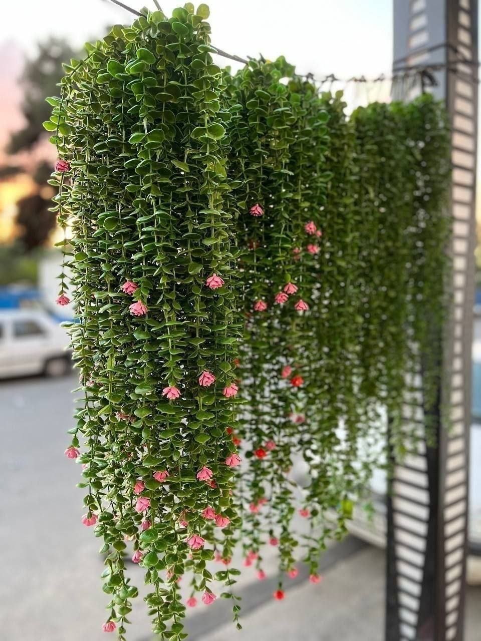 آویز شمشاد