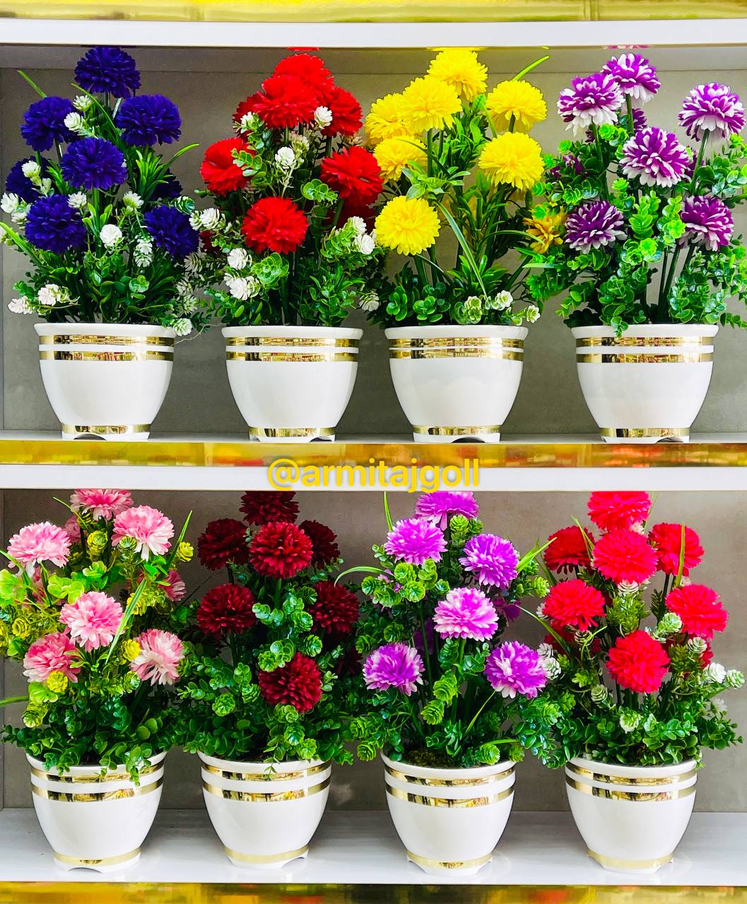 داوودی ۱۰گل گرد دورطلا🪷🌸🪷🌸